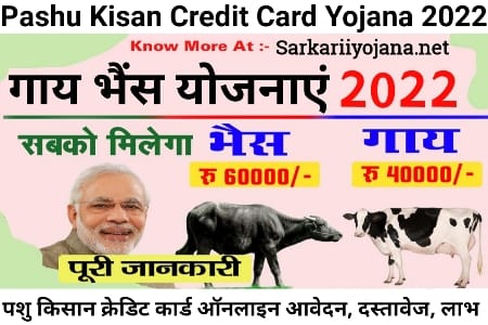 Pashu Credit Card Scheme, Pashu Credit Card Yojana, Kisan Credit Card Yojana, पशु किसान क्रेडिट कार्ड, Pashu Kisan Credit Card