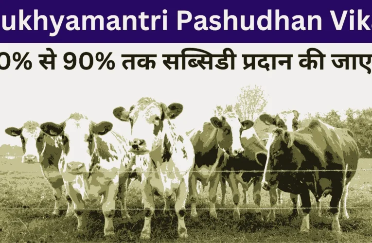 Mukhyamantri Pashudhan Vikas Yojana 2024: मुख्यमंत्री पशुधन विकास योजना आवेदन फॉर्म, किसानों को मिलेगी 90% सब्सिडी
