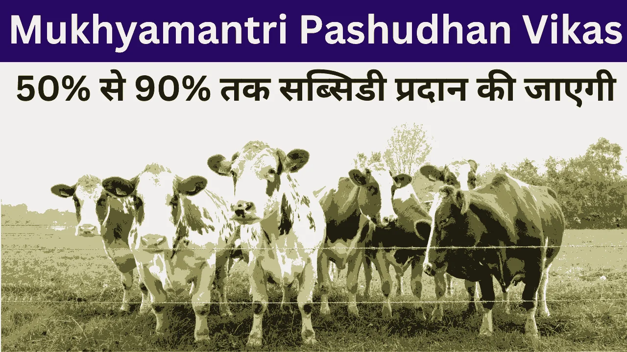 Mukhyamantri Pashudhan Vikas Yojana 2024: मुख्यमंत्री पशुधन विकास योजना आवेदन फॉर्म, किसानों को मिलेगी 90% सब्सिडी, Sarkari Yojana