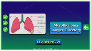 Finding the Right Mesothelioma Lawyer Directory: A Comprehensive Directory, Tips for Finding the Right Mesothelioma Lawyer